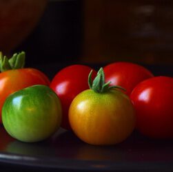 5 Tipps zu: grüne tomaten nachreifen